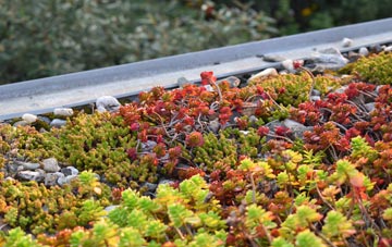 the cost of White End green roof installation