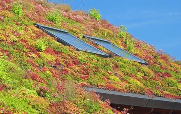 White End living roof systems