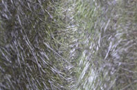 White End fibreglass roof work